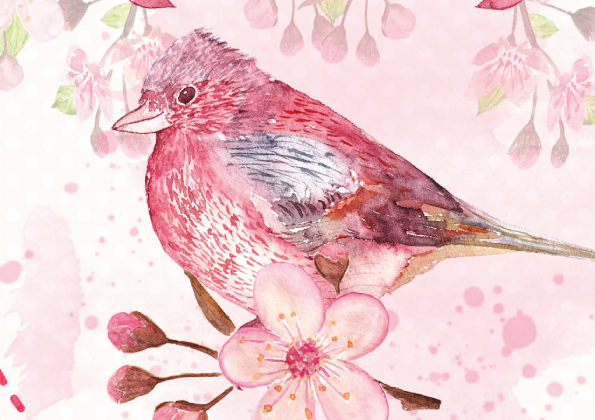 πρόσκληση Cherry blossom (SKK024)